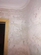 Декоративная штукатурка 23