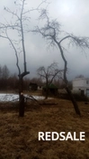 Нужно было оградить участок с садом, где растут 50-летние деревья.