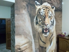 Поклейка обоев