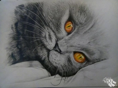 Рисунок карандашом