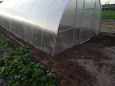 Теплица в Ракове 8х3,5м. Обкопана по периметру