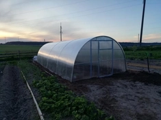 Теплица в Ракове 8х3,5м. Общий вид